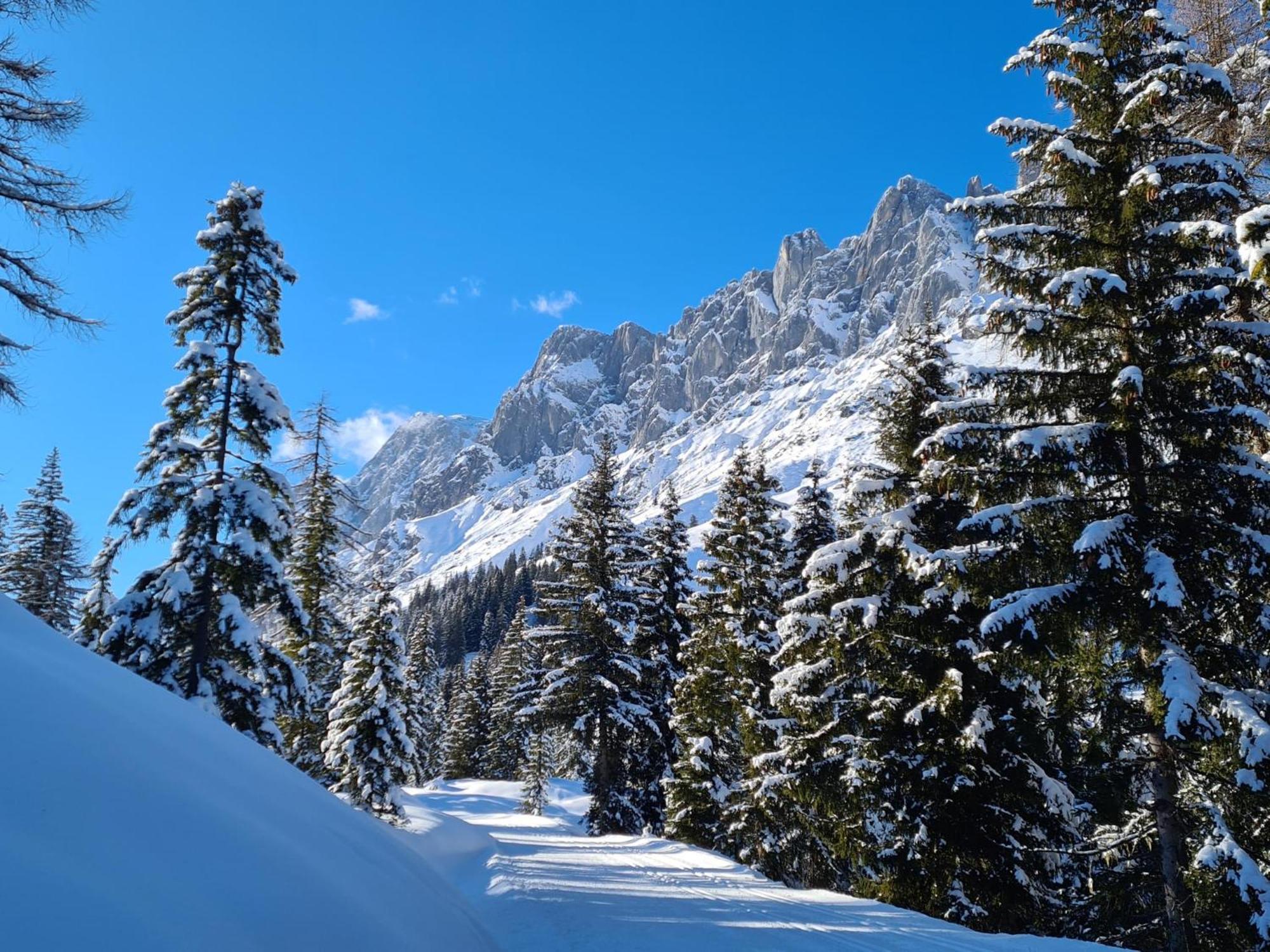 Sonnblick Top 6 Villa Mühlbach am Hochkönig Exteriör bild